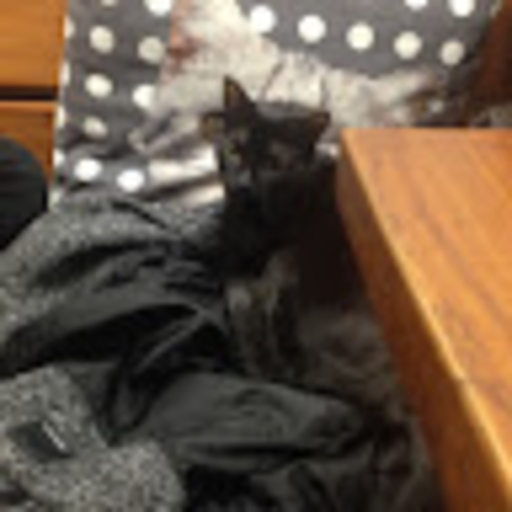 Meet your Posher, Citrus